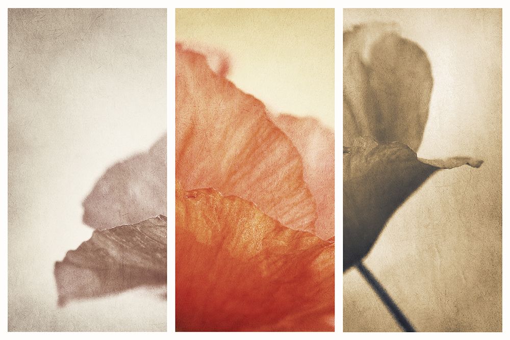 Fading Memories art print by Gustav Davidsson for $57.95 CAD