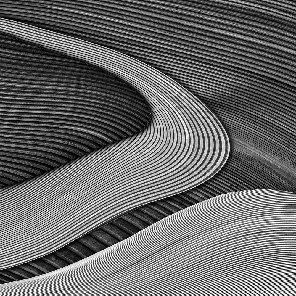 The Wood Project Iii - Zen Garden art print by Luc Vangindertael for $57.95 CAD
