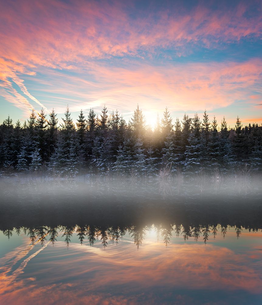 Small lake in the forest art print by Christian Lindsten for $57.95 CAD