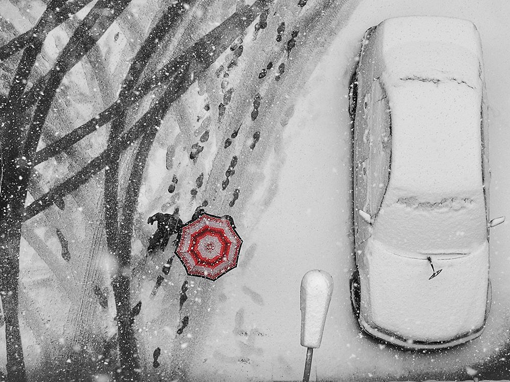 Winter Passengers art print by Nicoleta Gabor for $57.95 CAD