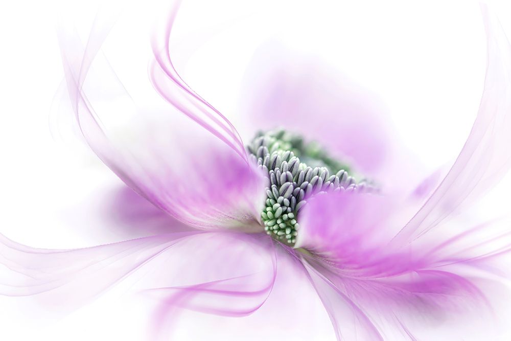 Flow art print by Jacky Parker for $57.95 CAD