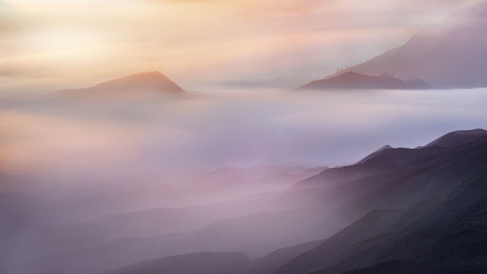 Vanilla art print by Rudi Gunawan for $57.95 CAD