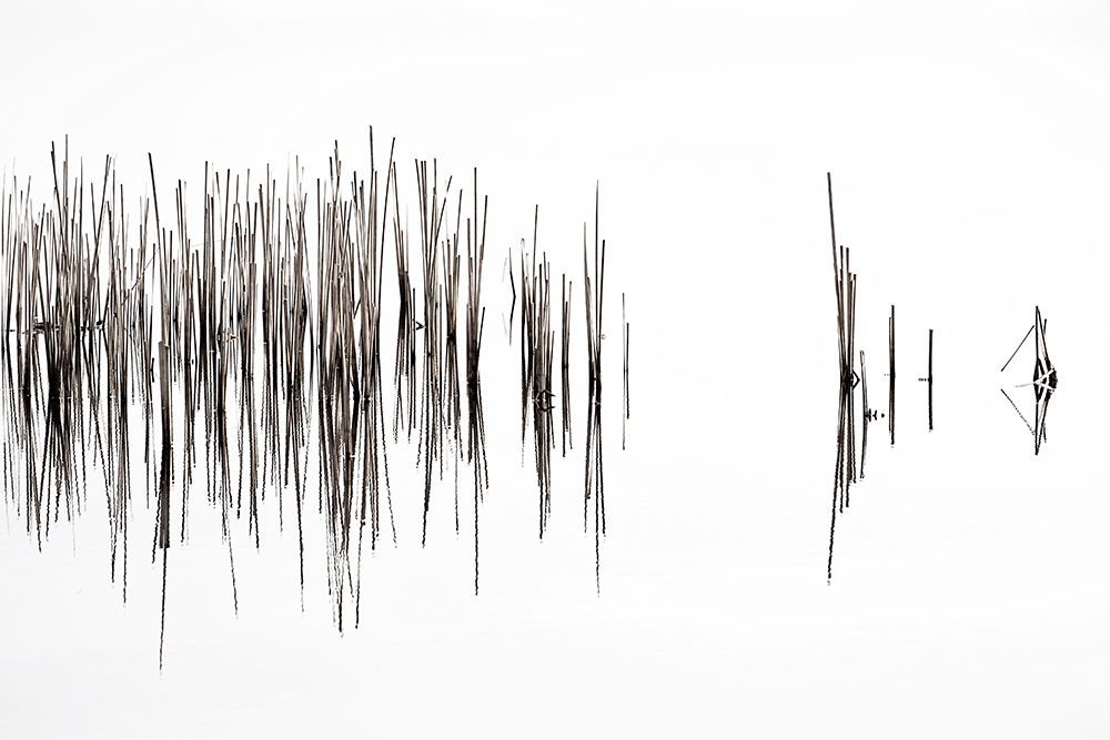 Rhythm art print by Nel Talen for $57.95 CAD