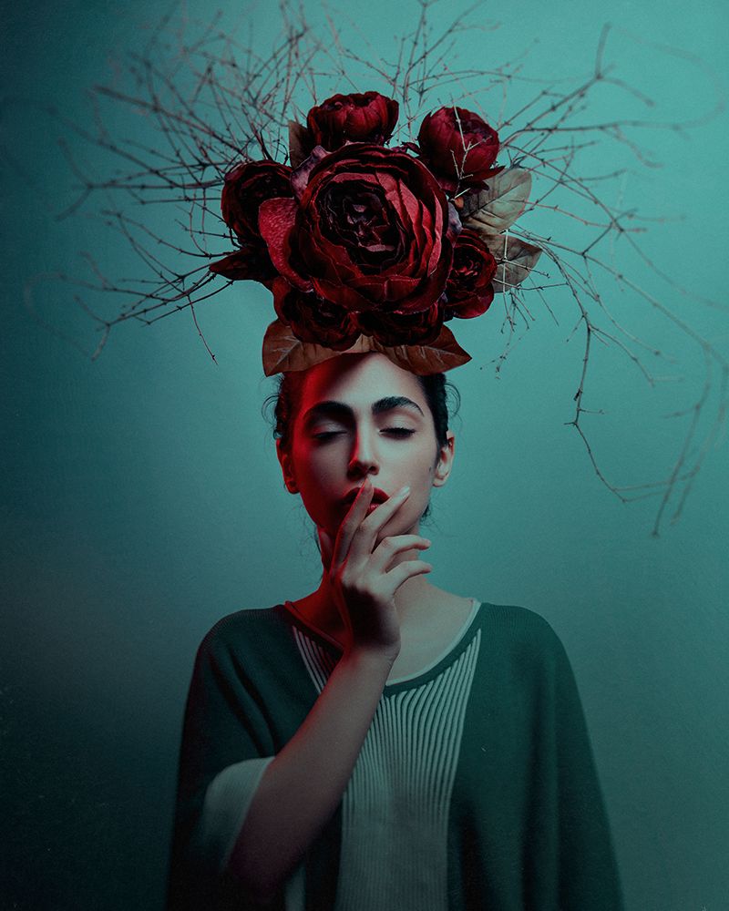 ... art print by Amin Hamidnezhad for $57.95 CAD