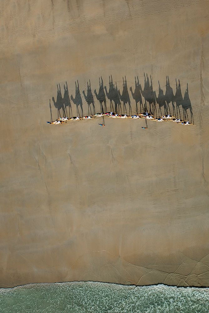 Broome Camel Train art print by Renee Doyle for $57.95 CAD