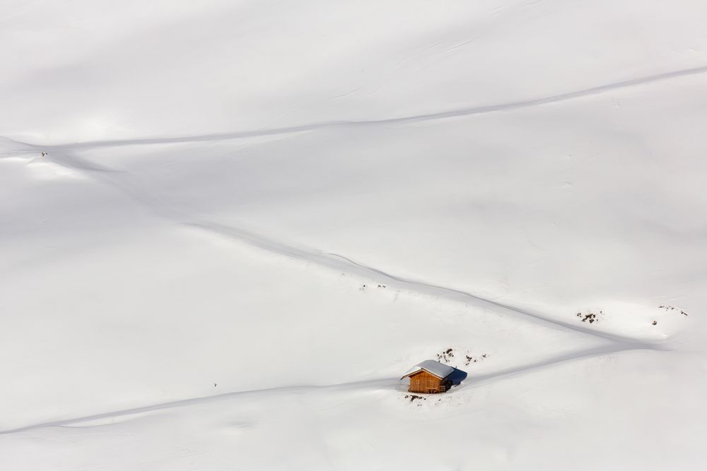 Lost In The Snow art print by Uschi Hermann for $57.95 CAD