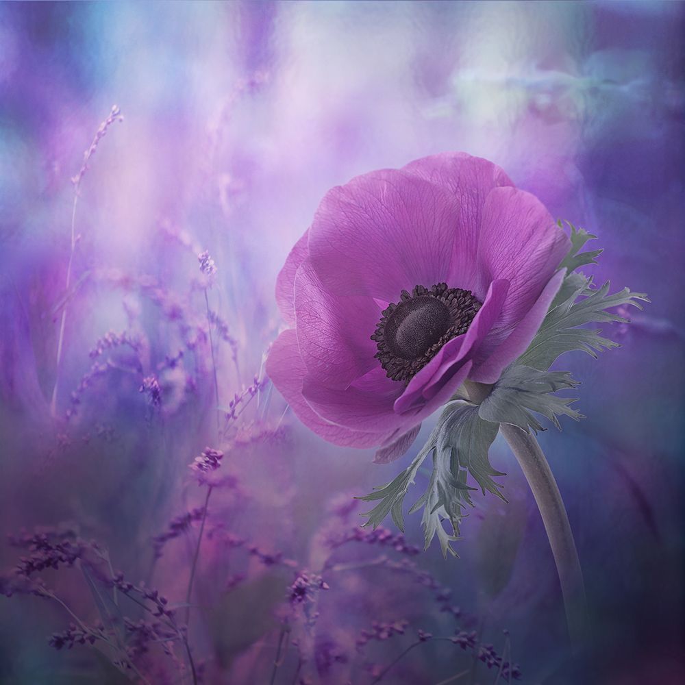Ecstasy art print by Natalia Simongulashvili for $57.95 CAD