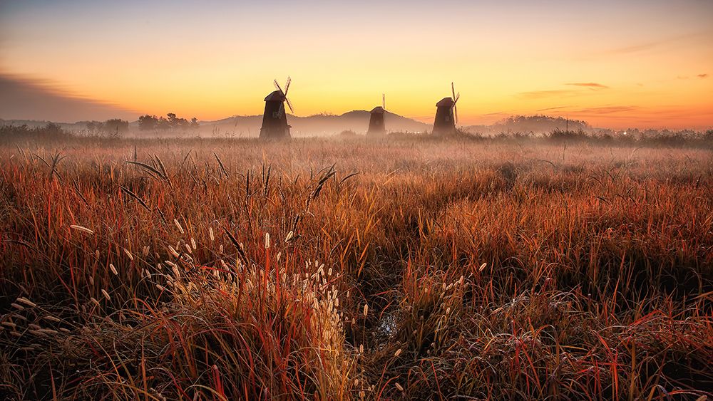 Autumn morning art print by Tiger Seo for $57.95 CAD
