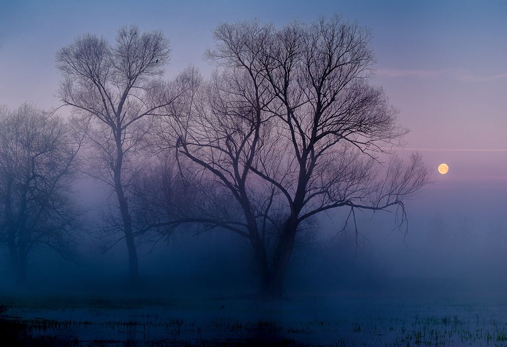 Another New Day art print by Andreas Agazzi for $57.95 CAD