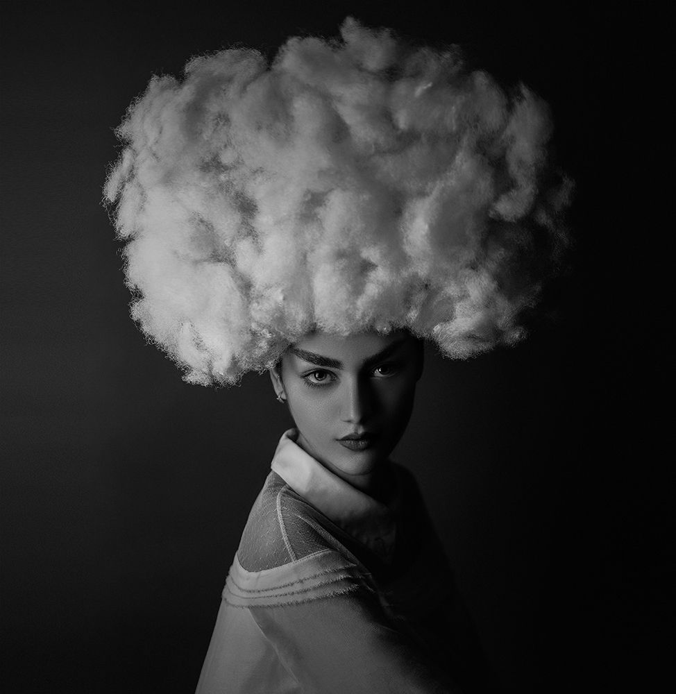 Nilofar art print by Amin Hamidnezhad for $57.95 CAD