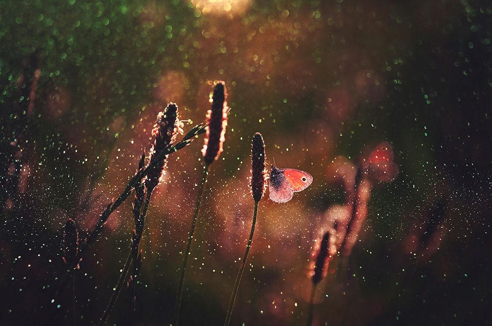 Symbol of the soul art print by Dragana Trajkovic for $57.95 CAD