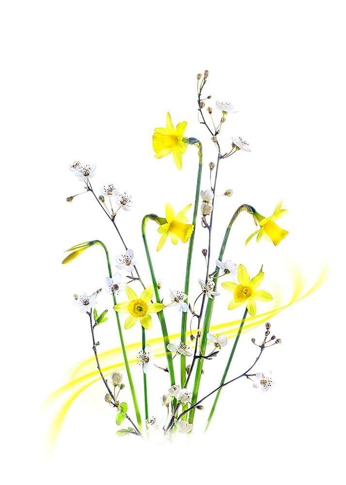 Simply Spring art print by Jacky Parker for $57.95 CAD