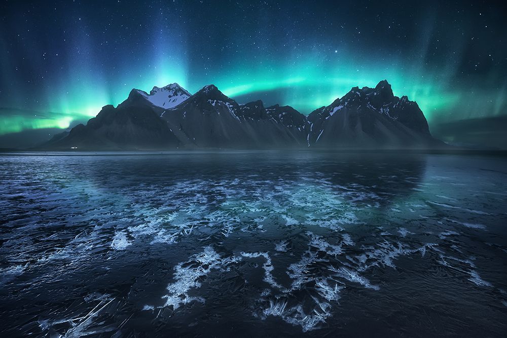 Frozen World, The Crown art print by Carlos F. Turienzo for $57.95 CAD
