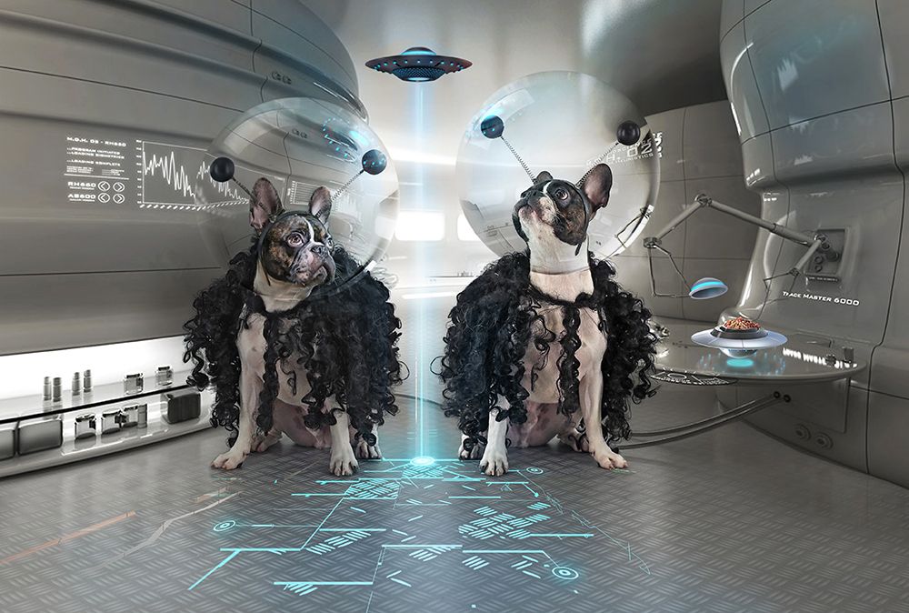 ET Dogs art print by DDiArte for $57.95 CAD