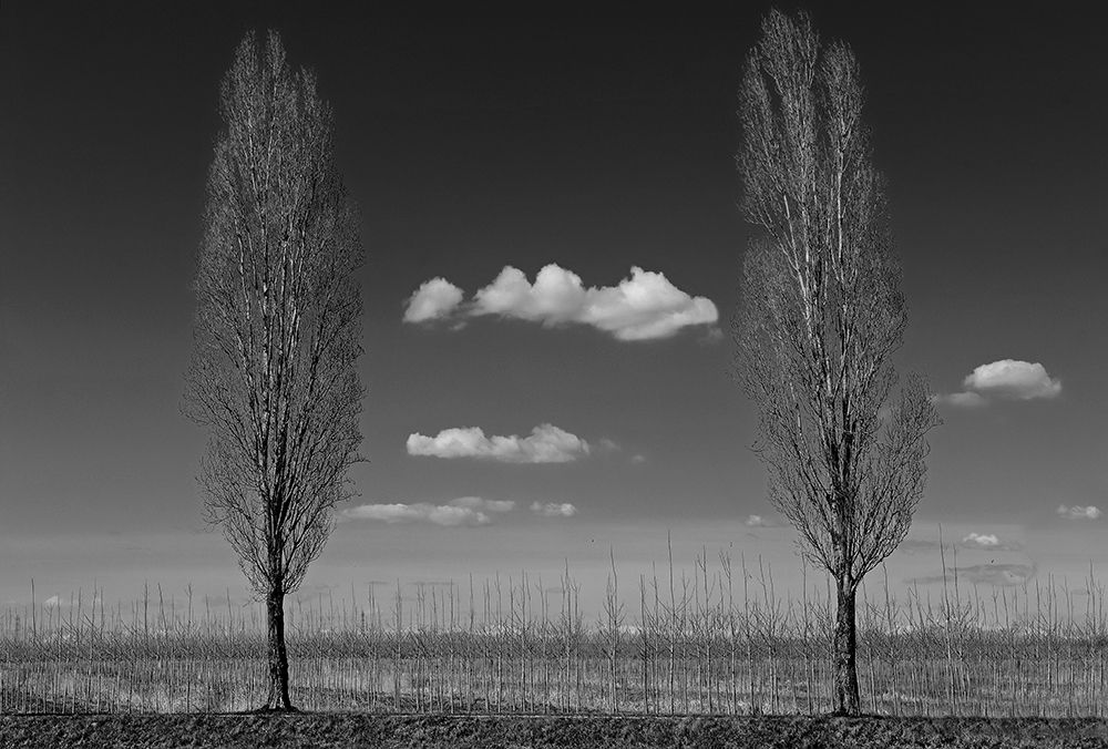 Two of us art print by Jure Kravanja for $57.95 CAD