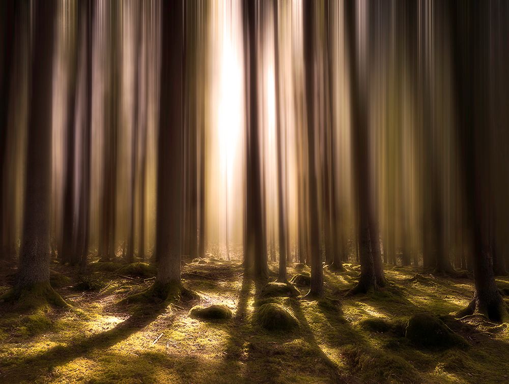 Breath Of Life art print by Christian Lindsten for $57.95 CAD