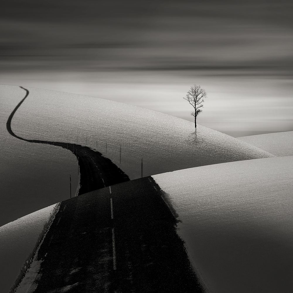 Winter art print by AGNIRIBE for $57.95 CAD