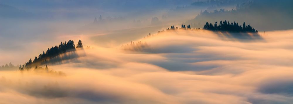 Misty Morning art print by Wojciech Kruczynski for $57.95 CAD