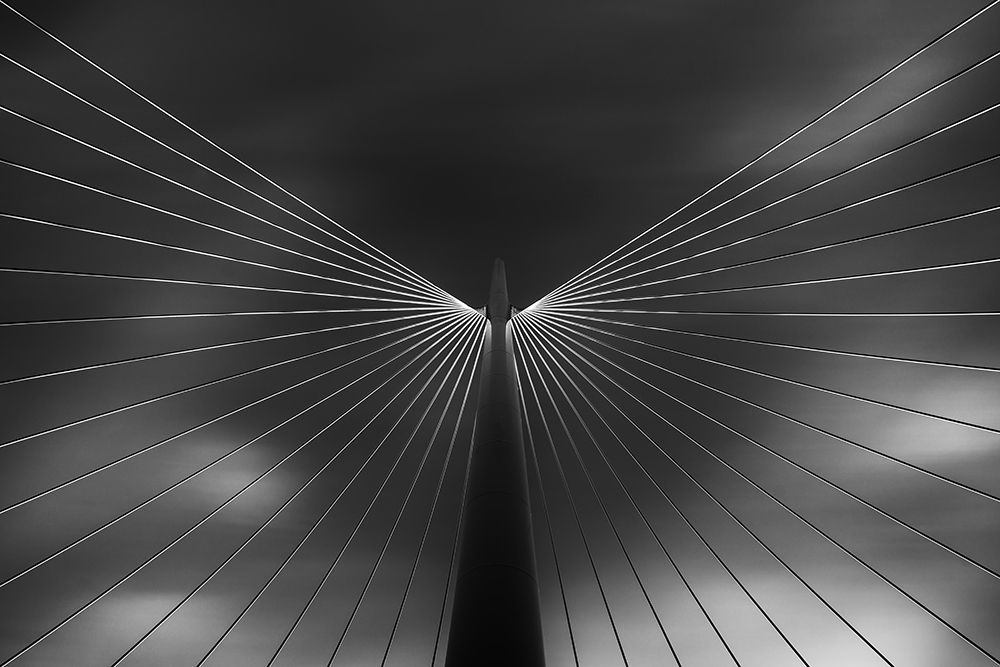 Angel In Black And White art print by Ivan Ferrero for $57.95 CAD
