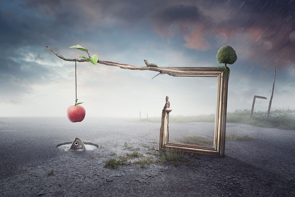 Balance art print by Peter Cakovsky for $57.95 CAD
