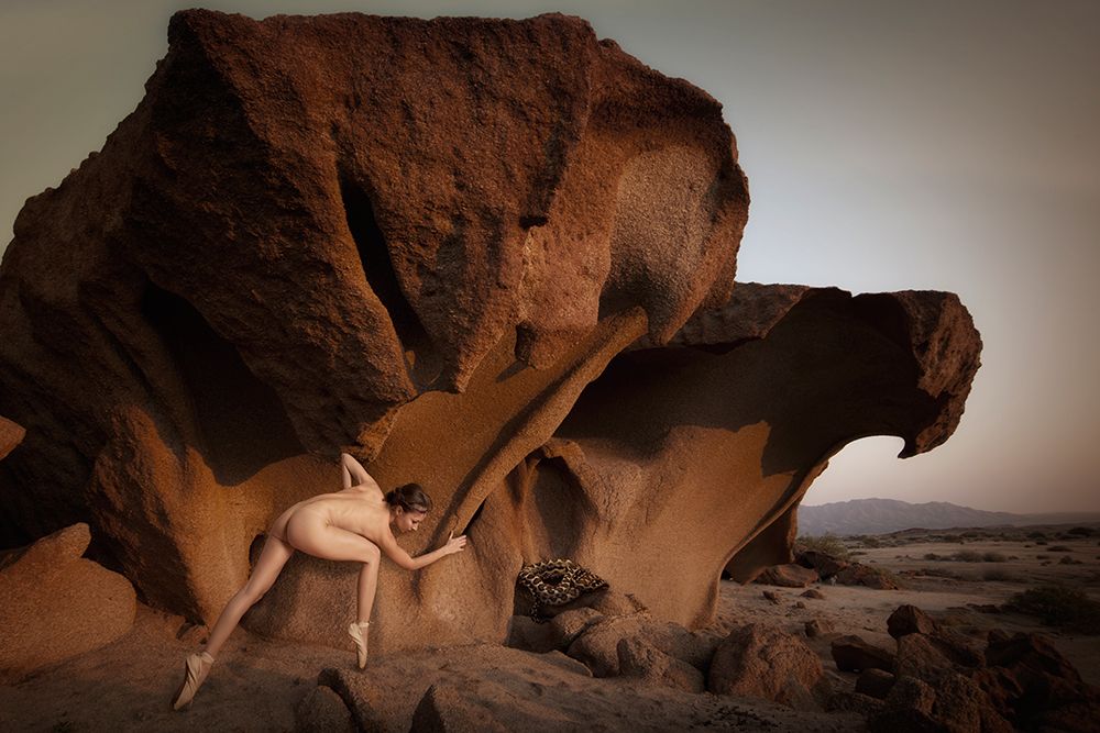 Desert-Rose II art print by Christine von Diepenbroek for $57.95 CAD
