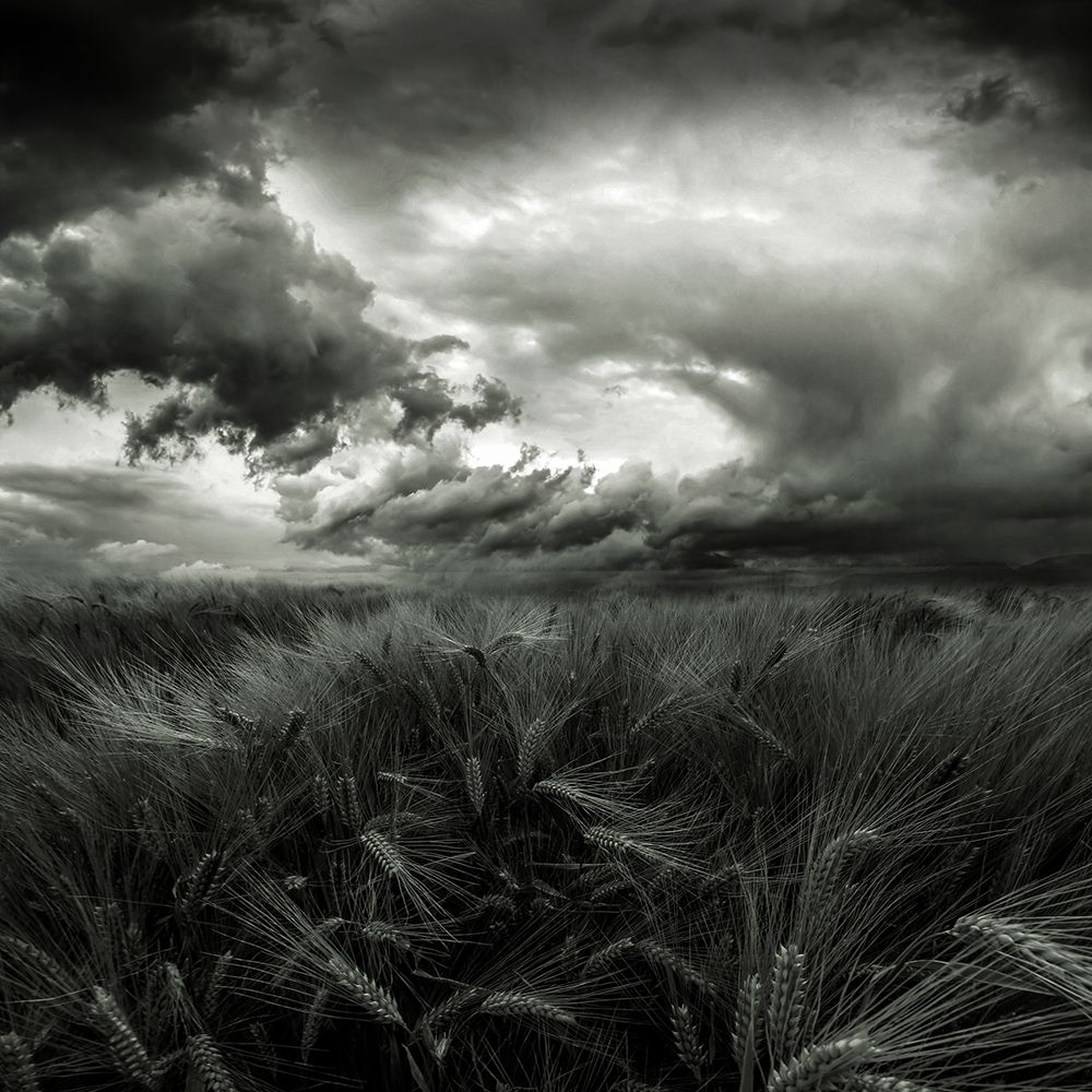 After The Storm art print by Franziskus Pfleghart for $57.95 CAD