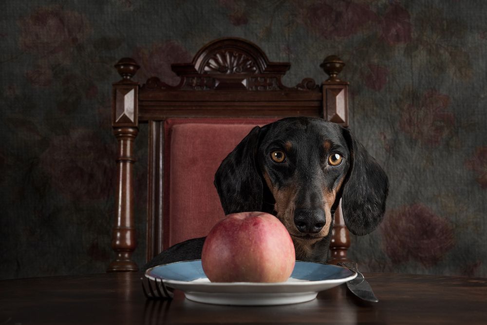 An Apple A Day Keeps The Doctor Away... art print by Heike Willers for $57.95 CAD