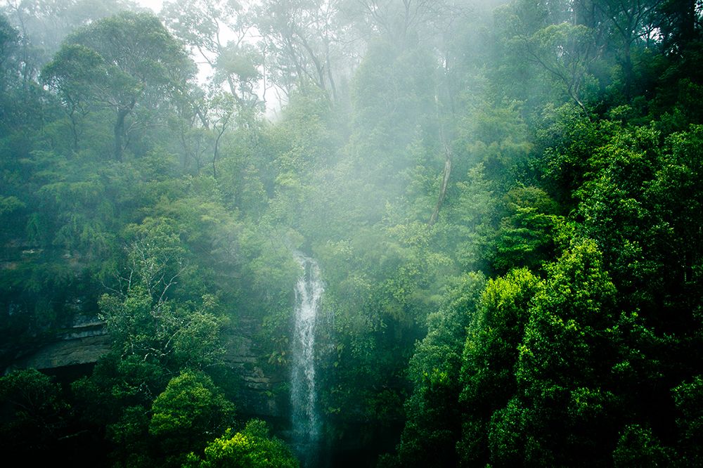 Green art print by Robert Steinkopff for $57.95 CAD
