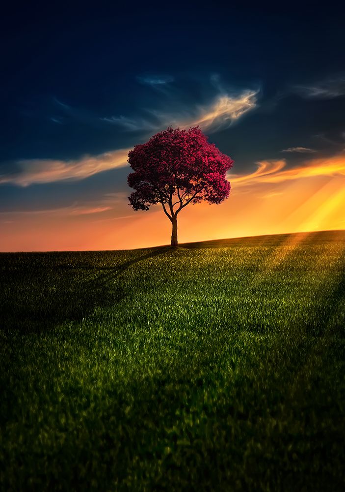 Awesome Solitude art print by Bess Hamiti for $57.95 CAD