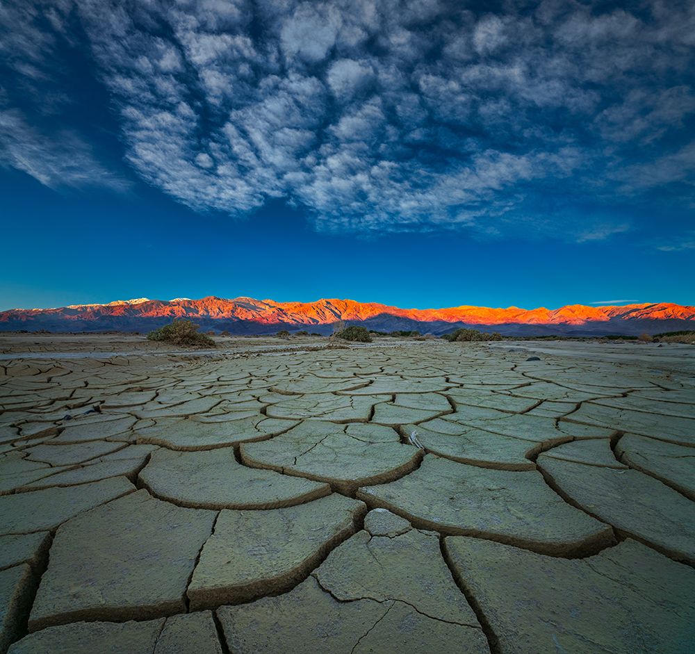 Dry Season art print by John Fan for $57.95 CAD