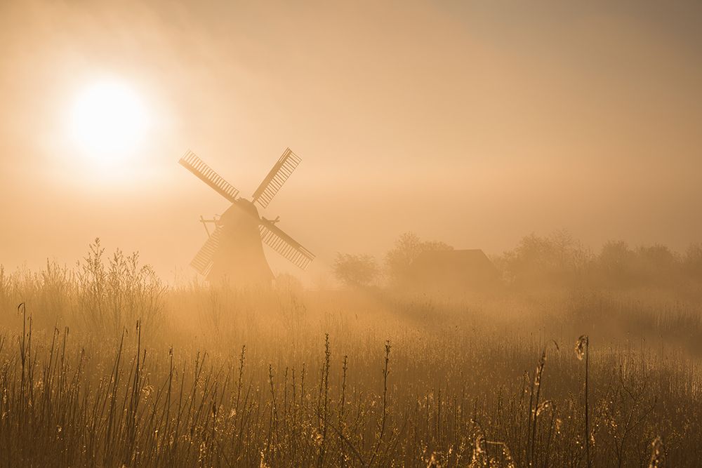 Golden Dawn. art print by Ton Drijfhamer for $57.95 CAD