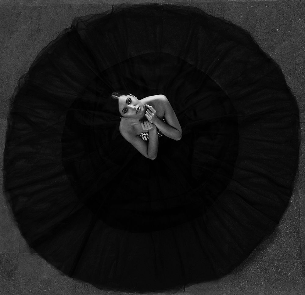 Black Swan art print by Martin Krystynek MQEP for $57.95 CAD