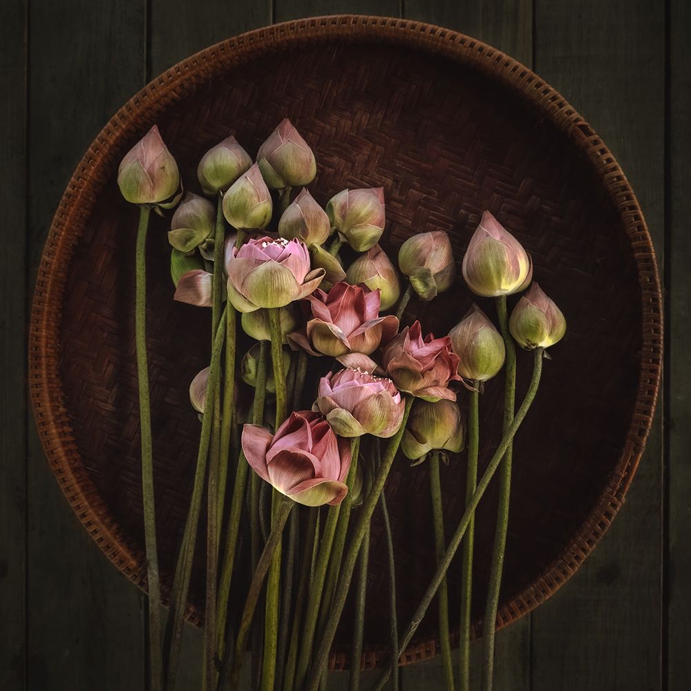 No.18 art print by Adirek M for $57.95 CAD