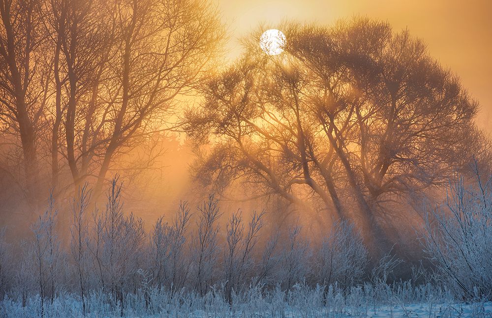 Warm And Cold art print by Keller for $57.95 CAD