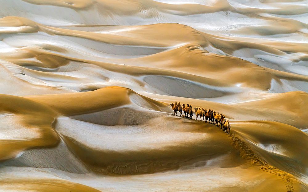 Desert Winter art print by Hua Zhu for $57.95 CAD