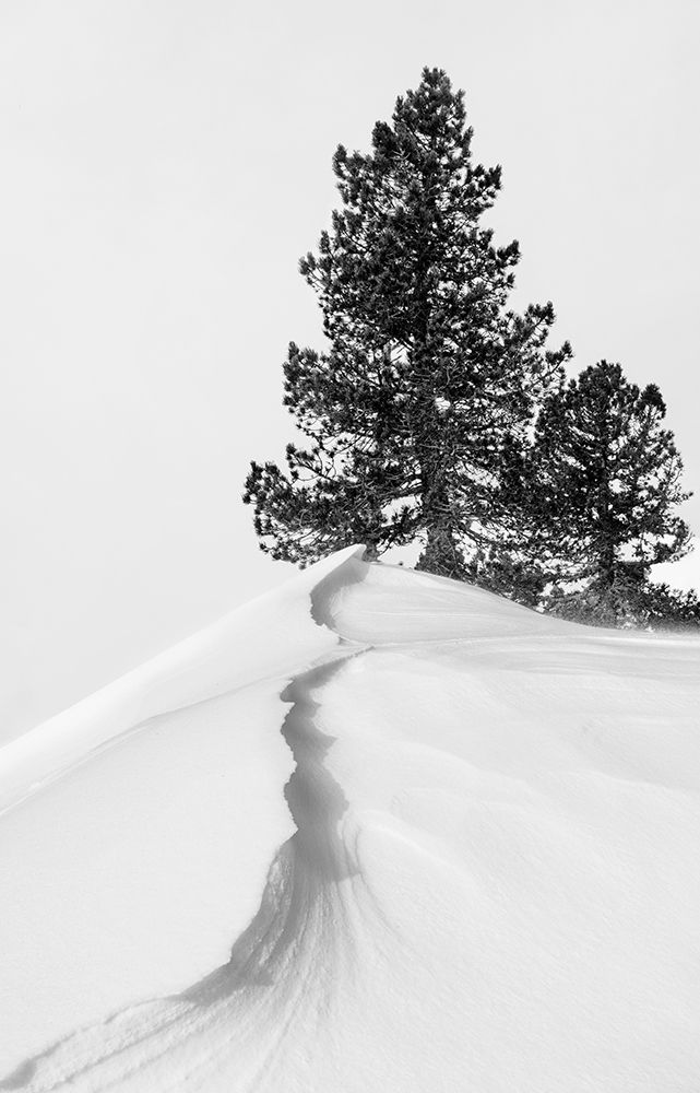 About The Snow And Forms art print by Rodrigo Nunez Buj for $57.95 CAD