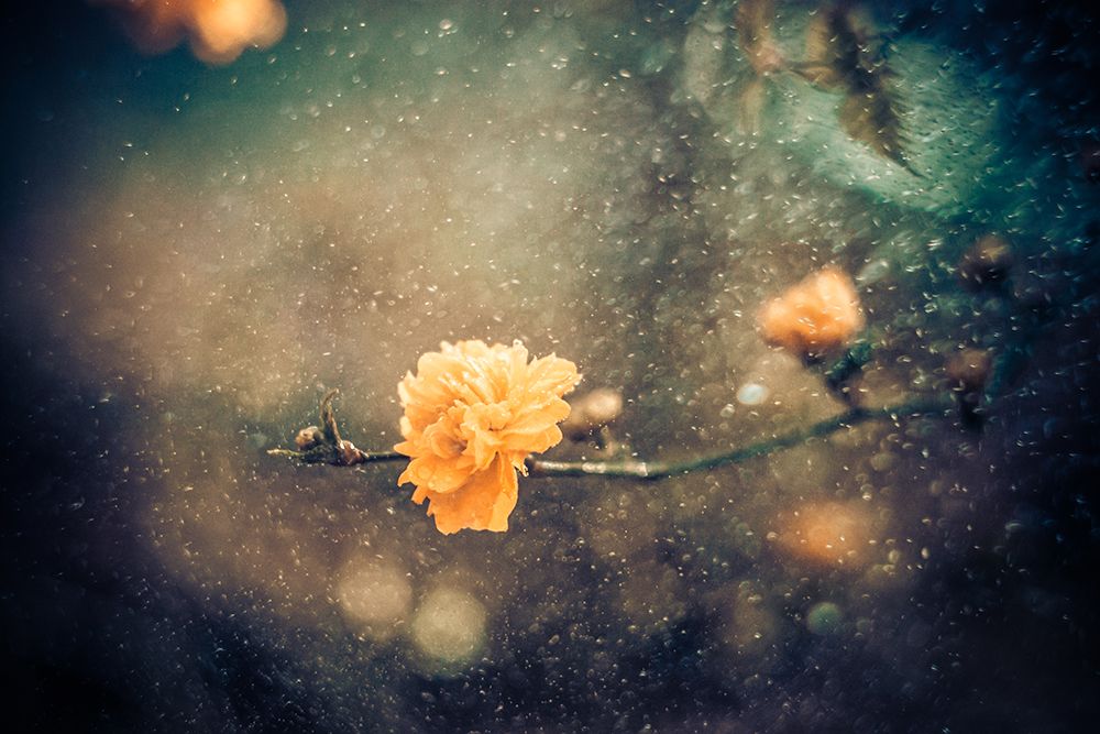 Spring art print by Antonio Bernardino Coelho for $57.95 CAD