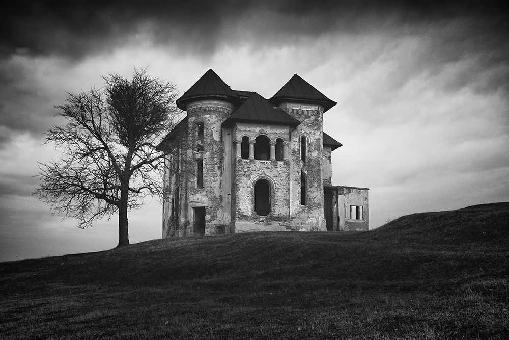 Rosianu Mansion art print by Catalin Alexandru for $57.95 CAD
