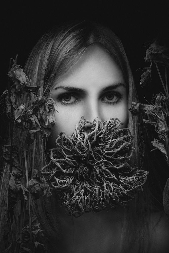 Silence art print by Artem Vasilenko for $57.95 CAD