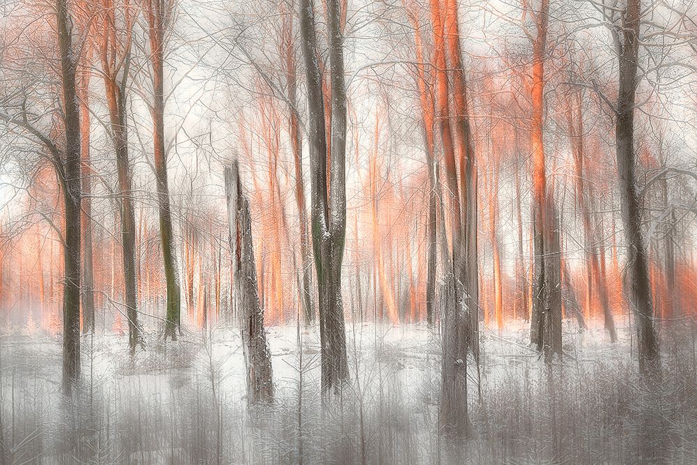 Evening Light art print by Gustav Davidsson for $57.95 CAD