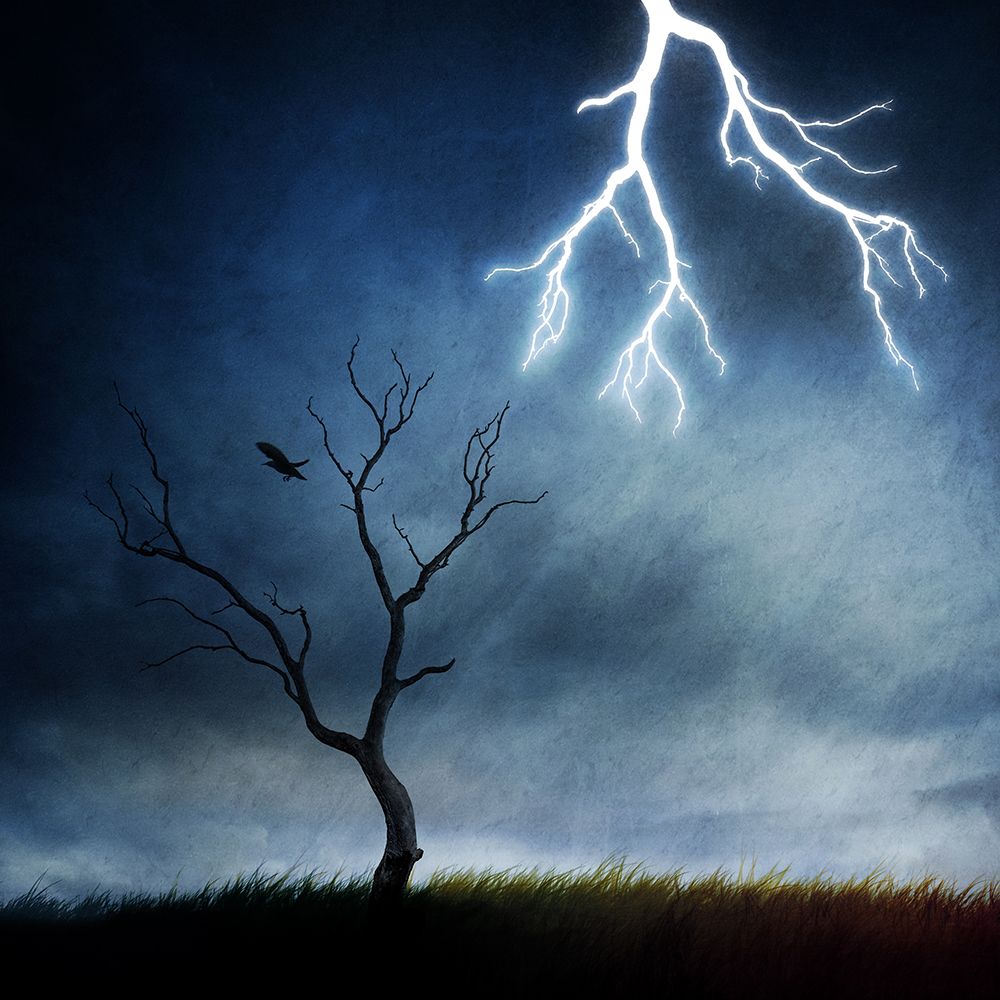 Lightning Tree art print by Sebastien Del Grosso for $57.95 CAD