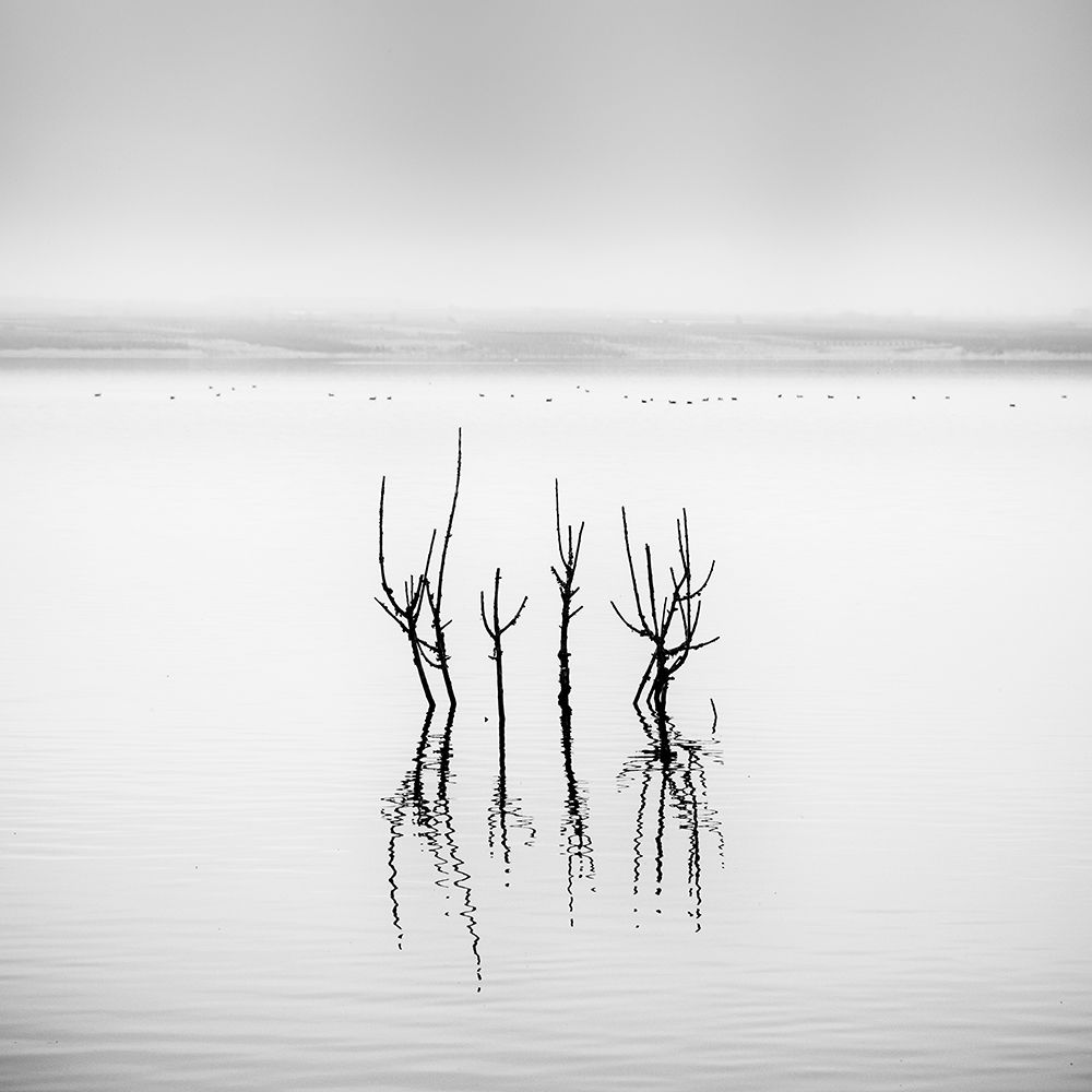 Vegoritida Lake 005 art print by George Digalakis for $57.95 CAD
