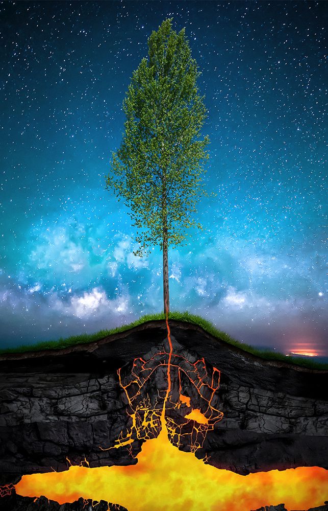 Emerging Spring art print by Antonio Bernardino Coelho for $57.95 CAD