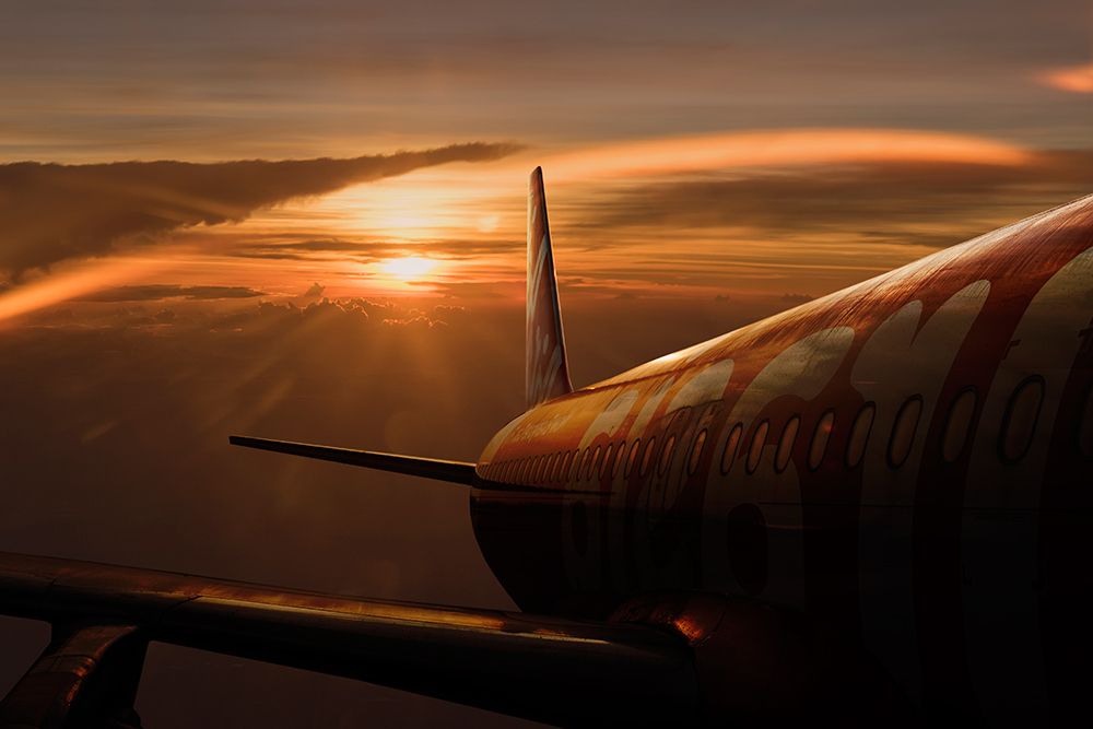 Out Of The Flight art print by Ekkachai Khemkum for $57.95 CAD