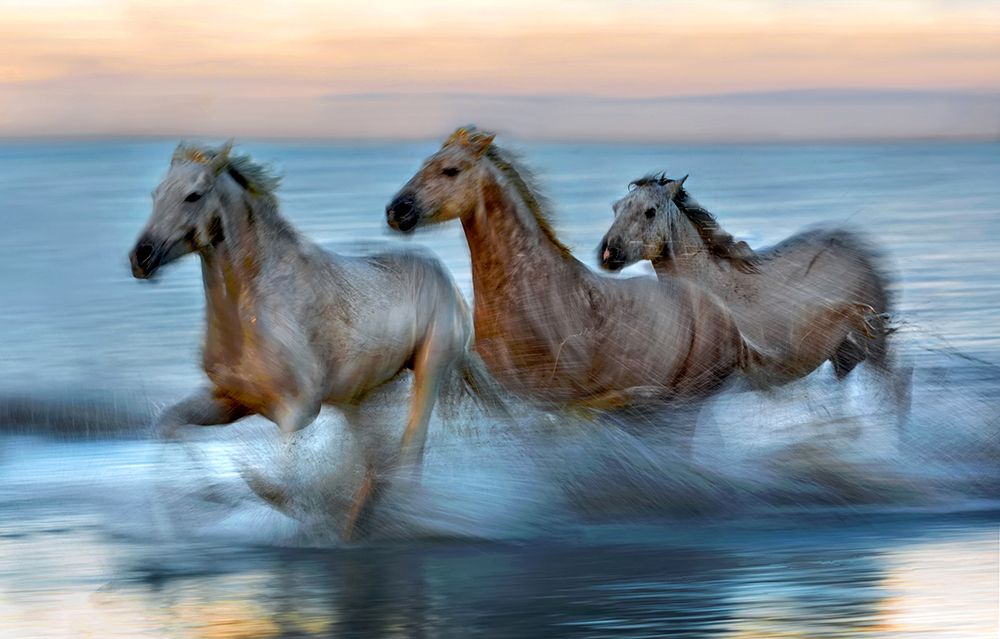 Slow motion horses art print by Xavier Ortega for $57.95 CAD