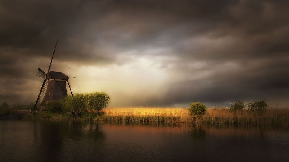 Nature as a painter art print by Saskia Dingemans for $57.95 CAD