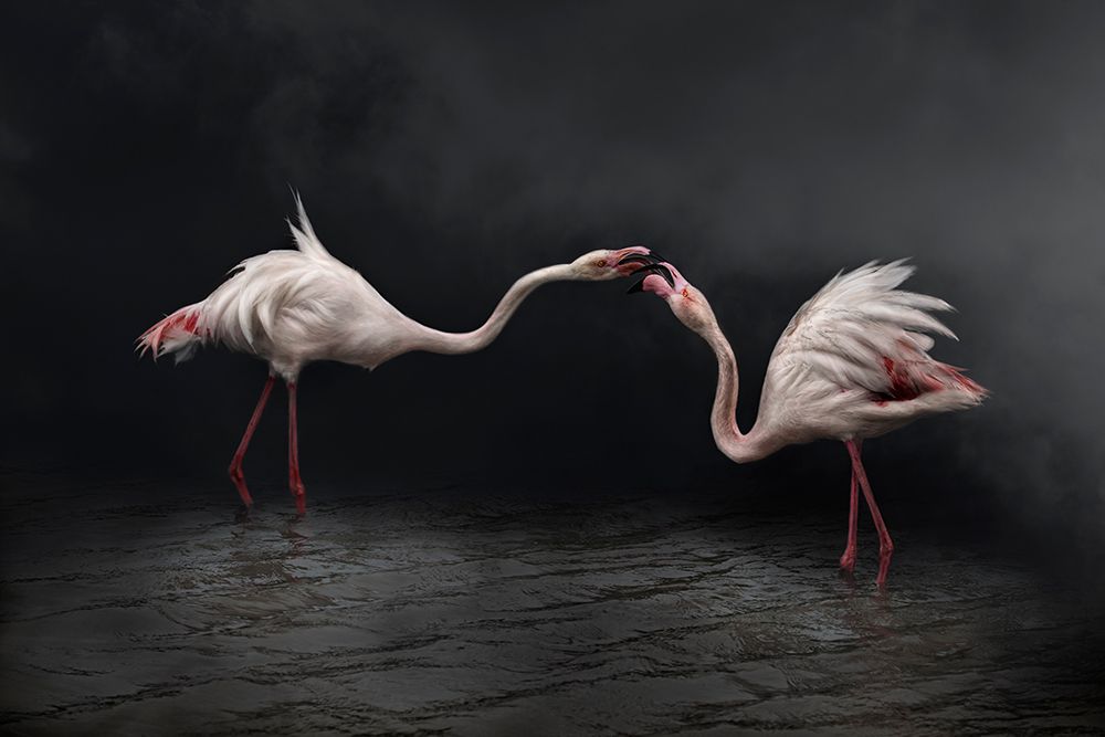 Pink strategy art print by Martine Benezech for $57.95 CAD