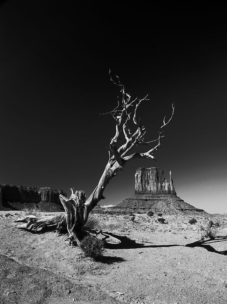 Monument art print by Vinicio Triglia for $57.95 CAD