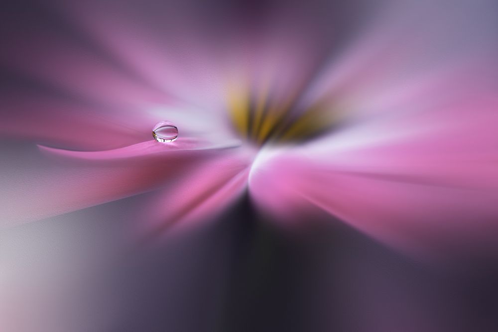 Galaxy... art print by Juliana Nan for $57.95 CAD