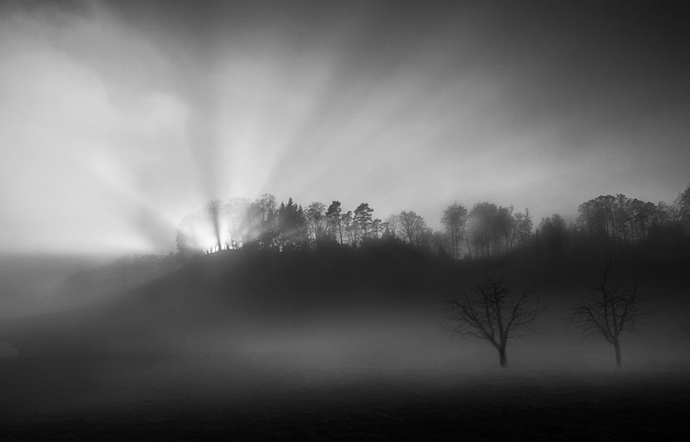 The Sun In The Fog art print by Nic Keller for $57.95 CAD